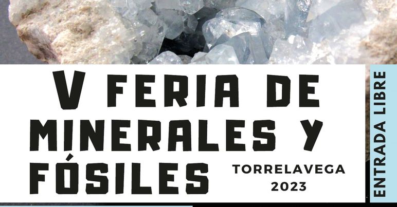 V Feria De Minerales Y F Siles Torrelavega Miplanhoy Qu Hacer