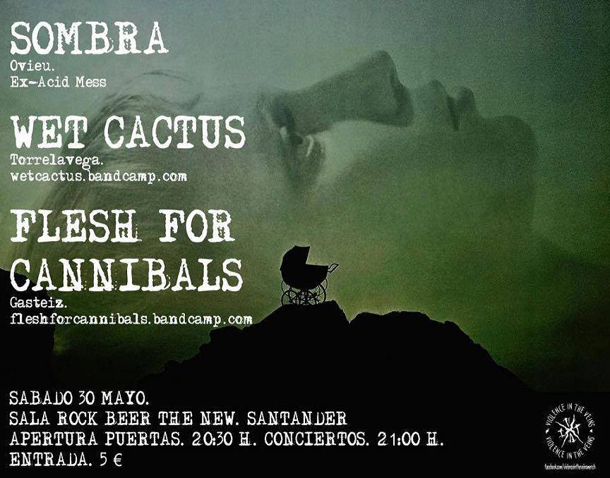 Concierto de Sombra, Wet Cactus y Flesh For Cannibals en el New en Santander