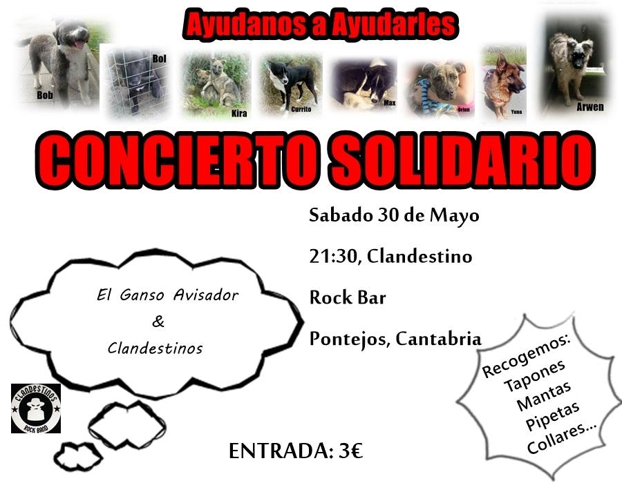 Concierto solidario en el Clandestino Rock de Pontejos