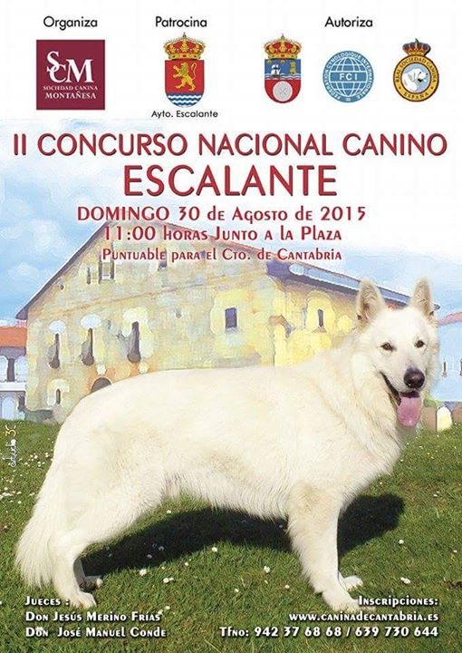 Concurso nacional canino en Escalante