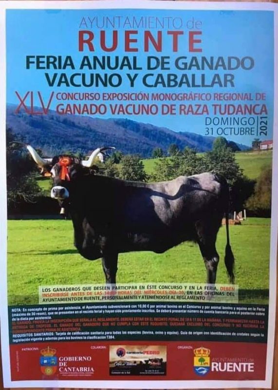 Feria Anual de Ganado Vacuno y Caballar Ruente Miplanhoy qué