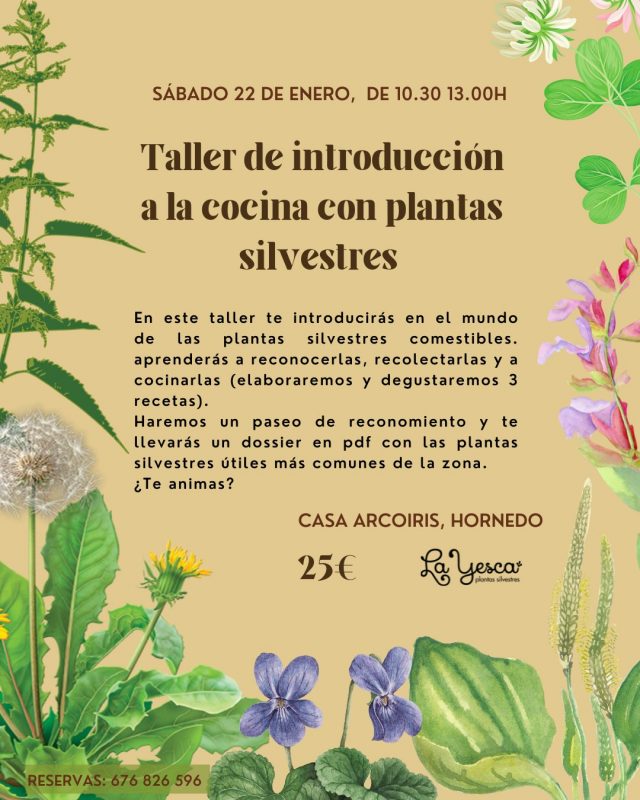 TALLER DE INTRODUCCIÓN A LA COCINA CON PLANTAS SILVESTRES