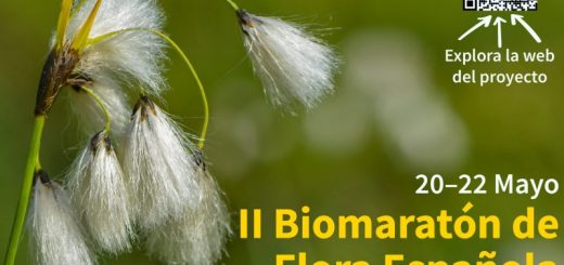 II Biomaratón de Flora de España