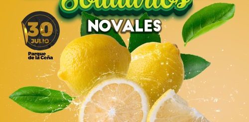 XI Edición Limones Solidarios