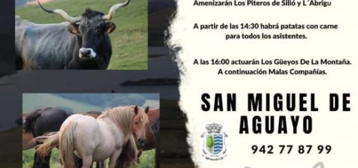 XXVII Feria de Ganado  - San Miguel de Aguayo