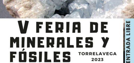 V Feria de Minerales y Fósiles Torrelavega 2023